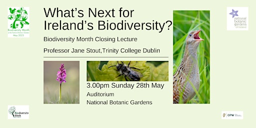Biodiversity Month Closing Lecture: What’s Next for Ireland’s Biodiversity? primary image