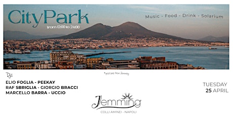 Immagine principale di Brunch Panoramico su Napoli 