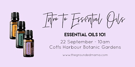 Introduction to Essential Oils - For Beginners primary image