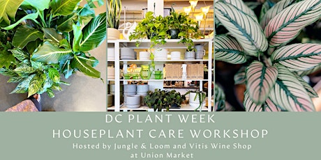 Imagen principal de DC Plant Week Houseplant Care Workshop with Wine Tasting