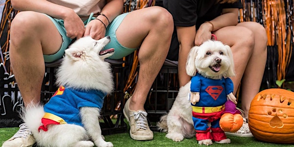 COMMUNE presents My Vet Animal Hospital's Howl-O-Ween Pawty.