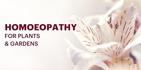 Four Agrihomoeopathy webinar recordings for Beginners primary image