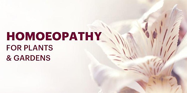 Four Agrihomoeopathy webinar recordings for Beginners