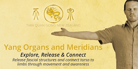 Yang Organs and Meridians; Explore, Release, Connect primary image