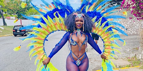 Carnival Planning for You! Remove the hassle from planning!
