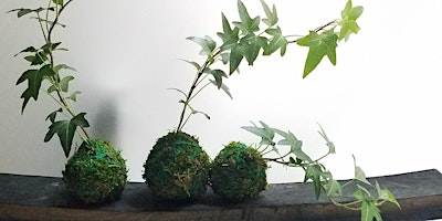 Primaire afbeelding van Kokedama : Learn to make your own Japanese Floating Garden