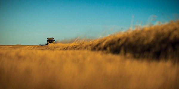 Against the Odds: The Story Behind LDS Farms - Deloraine