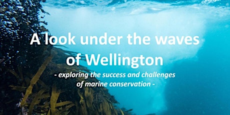 Under the Wellington waves: Successes and challenges of marine conservation primary image