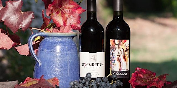 Ladies Night: Harvest Apps and Wine