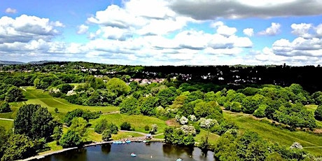 Wild Earlswood Bird Walk 5