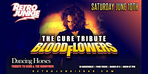 BLOODFLOWERS- The Cure Tribute DANCING HORSES -Echo & The Bunnymen Tribute primary image