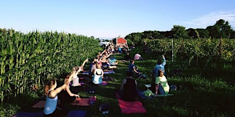 Yoga @ the Vineyard - Celebrating Harvest 2018 primary image