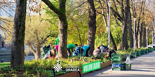Imagem principal do evento Fii voluntar!o 30 de minute pentru Parcul Libertății