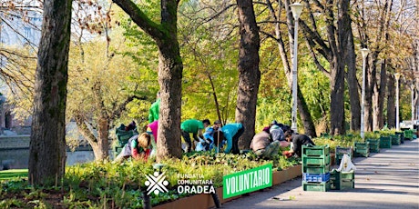 Fii voluntar!o 30 de minute pentru Parcul Libertății