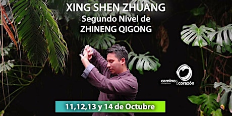 Imagen principal de Curso de Segundo Nivel de Zhineng Qigong Xing Shen Zhuang