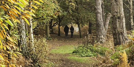 Community Trees & Woodland for Wildlife (EWC1806 Community)