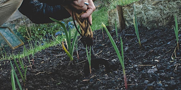 ADAPTING TO CLIMATE CHANGE - COMMUNITY GARDENS IRELAND AUTUMN GATHERING