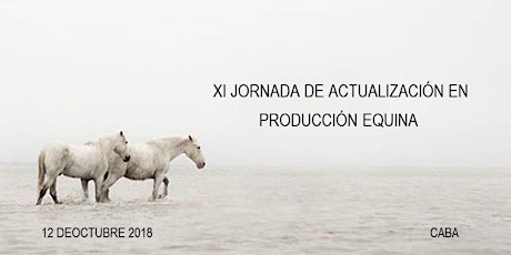 Imagen principal de XI JORNADA DE ACTUALIZACIÓN EN PRODUCCIÓN EQUINA