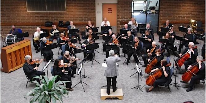 Senior Suburban Orchestra