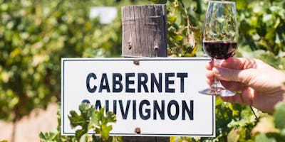 Eventi Di-Vini autunno 2018: Il Cabernet Sauvignon nel Taglio Bordolese Eventi Di-Vini autunno 2018: Il Cabernet Sauvignon nel Taglio Bordolese