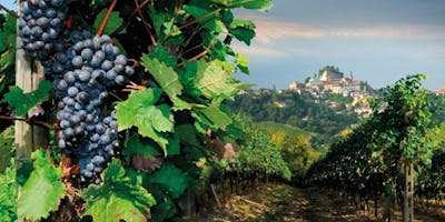 Eventi Di-Vini autunno 2018, Dalle Coste del Sesia alle Langhe un solo vitigno: il Nebbiolo Eventi Di-Vini autunno 2018, Dalle Coste del Sesia alle Langhe un solo vitigno: il Nebbiolo
