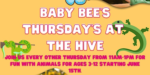 Baby Bee's Thursday's at The Bee Hive primary image
