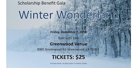 Winter Wonderland Scholarship Gala primary image