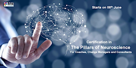 Certification in Pillars of Neuroscience for Coaches and  Consultants
