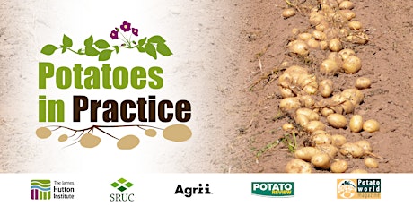 Hauptbild für Potatoes in Practice