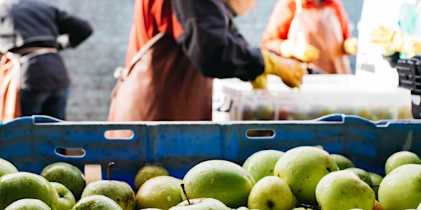 Make Craft Cider: 31 Oct 18