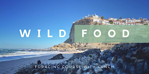 Wild Food Course including Foraged Lunch primary image