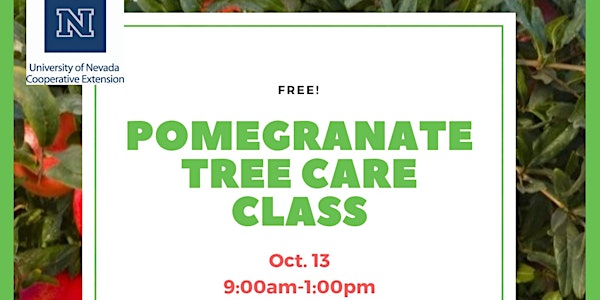 FREE Pomegranate Tree Care Class