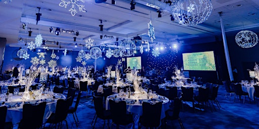 New Years Eve Ball primary image