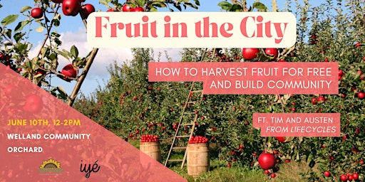 Fruit in the City: How to Harvest Fruit for Free and Build Community primary image