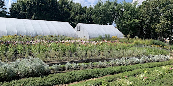 Urban Flower Farm Needs Help Making