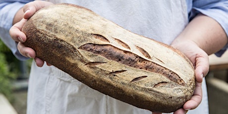 Full Day Making Sourdough primary image