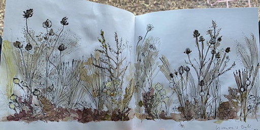 Immagine principale di How to Draw Summer Wildflowers! 