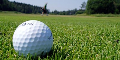 Hauptbild für 2024 Rochester Traveling Golf Leagues