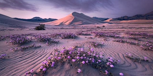 Erin Babnik: The Seven Virtues of a Creative Landscape Photographer