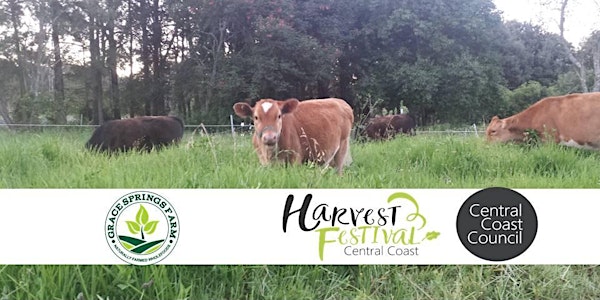 Central Coast Harvest Festival 2024 - Grace Springs Farm Tour