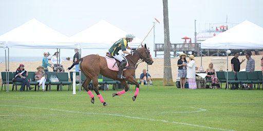 Newport Beach Surf & Turf Polo Classic 2024 primary image