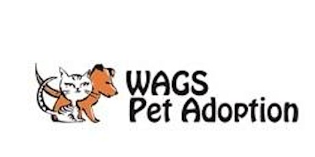 5th Annual WAGS TO RICHE$ Fundraiser primary image