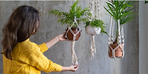 Immagine principale di Macrame Plant Hanger Workshop  With Gift Plant - Gold Coast 