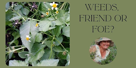 Weeds in the Garden - Friend or Foe?