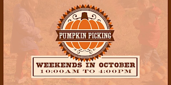 Pumpkin Picking at Decker Farm