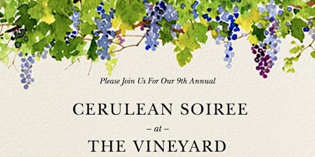 Cerulean Soiree at the Vineyard 2018 primary image