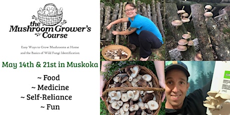 Learn to Grow Edible & Medicinal Mushrooms at Home ~ Hands-on Workshop