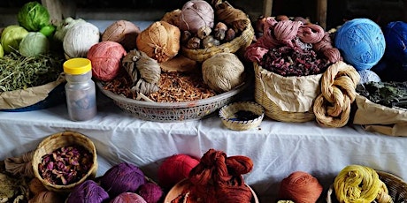 Dye Garden Series: Introduction to Botanical Dyeing