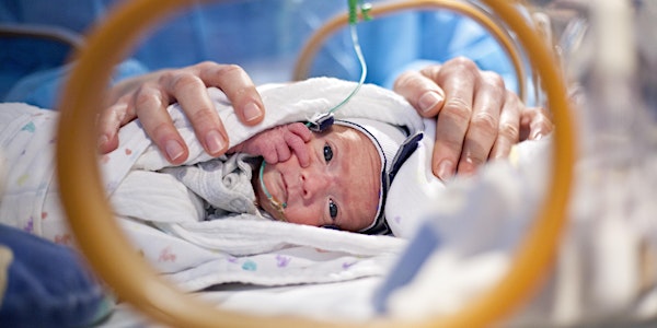 Neonatologie von 8 bis 8 – Kompakt-Update in 12 Stunden