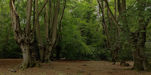 Epping Forest Talks: Feral Forest - experiences, s primary image